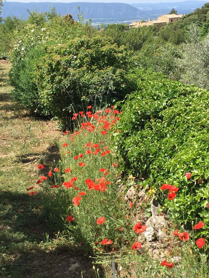 Bed and Breakfast La Borie En Provence Gordes Exterior foto