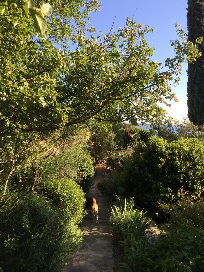 Bed and Breakfast La Borie En Provence Gordes Exterior foto